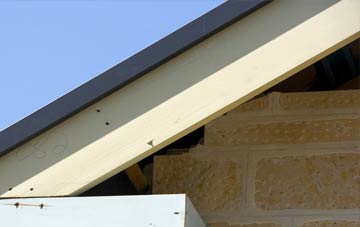 Stubhampton fascia repairs