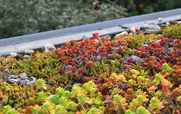 the cost of Stubhampton green roof installation