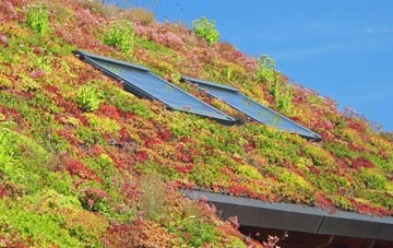 Stubhampton living roof systems