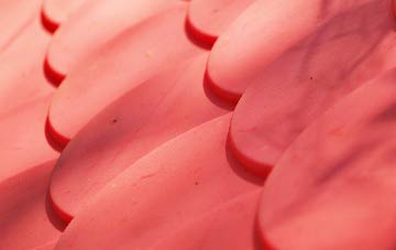 Stubhampton plastic roof costs