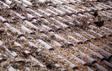 Stubhampton roof cleaning companies