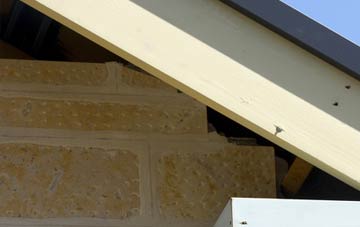 soffit repair Stubhampton