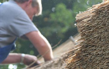 professional Stubhampton thatchers