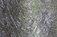 Stubhampton fibreglass roof work