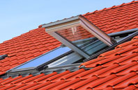 Stubhampton roof window